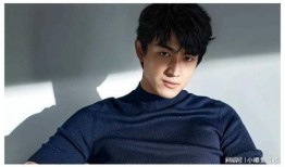 陈哲远娱乐圈爆料,揭秘明星幕后真相